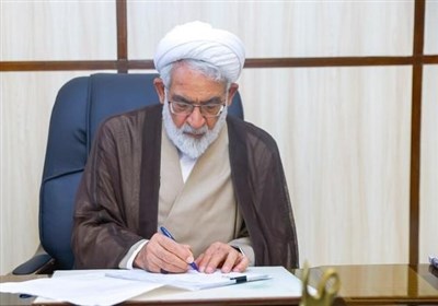 ديوان،كشور،گزارشات،بدوي،شعب،قضات،رويه،تلقي،حكم،دادگاه