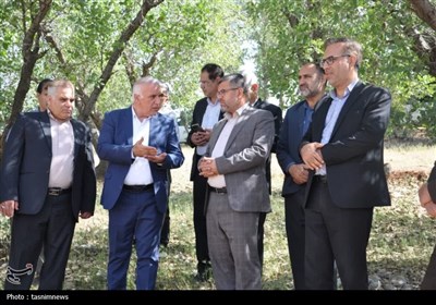 ياسوج،درختان،رعايت،برخورد،عمومي،تسنيم،بلوط،موسويان،ملاحظات