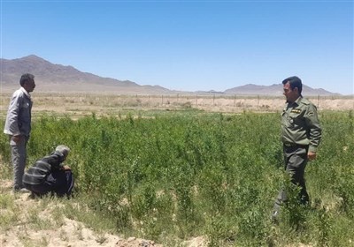 سربيشه،طبيعي،منابع،آبخيزداري،محكوم،اداره،محمودي