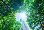کاهش 65 درصدی گرمای شهری با کاشت درختان بیشتر