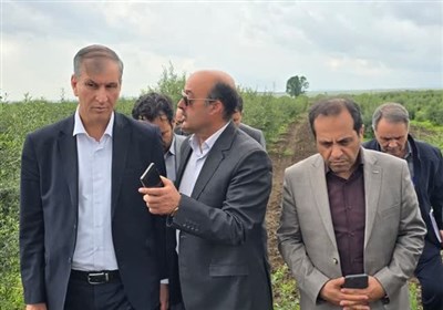 بازديد،كشاورزي،معاون،اردبيل،جهاد،تاكيد،وزير،برومندي،مغان،باغ ...