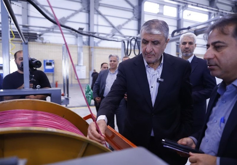 مرکز پرتودهی قزوین وارد فاز صنعتی شد
