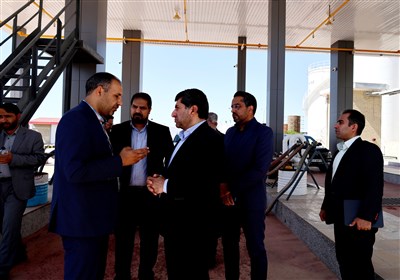 خراسان،جنوبي،منطقه،اقتصادي،واحدهاي،ارزشمندي،بازديد،هاشمي