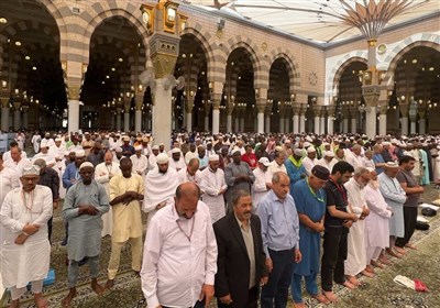 تسنیم