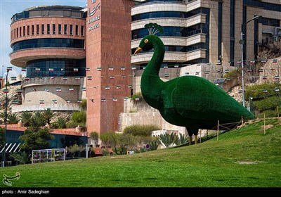 &#171;День Шираза&#187; в Иране и фотографии этого прекрасного города