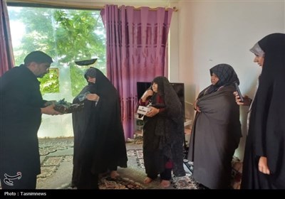 سملقانی‌ها میزبان پرچم حرم امام رضا(ع)+تصاویر