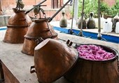 جشنواره گلابگیری خوزنین میهمان مخاطبان رادیو