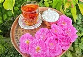Иранистическая статья| История и культура производства розовой воды в Иране