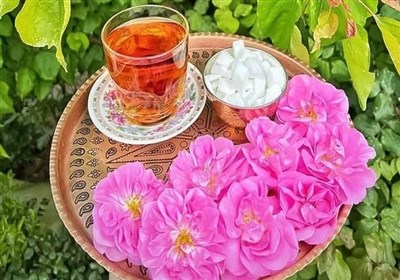 Иранистическая статья| История и культура производства розовой воды в Иране