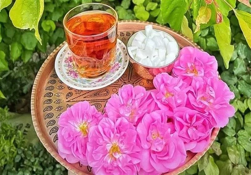Иранистическая статья| История и культура производства розовой воды в Иране