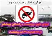 ممنوعیت صید آبزیان در سواحل بوشهر به مدت 10 روز
