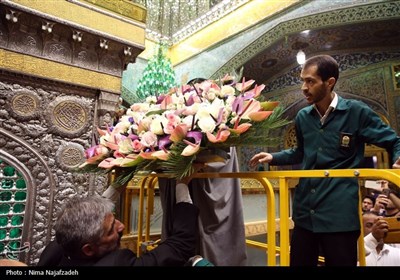 تعویض گل های ضریح مطهر امام رضا(ع)