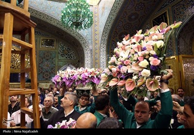 تعویض گل های ضریح مطهر امام رضا(ع)