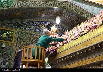 تعویض گل های ضریح مطهر امام رضا(ع)