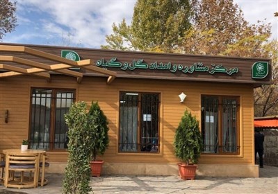 منطقه،بوستان،مشهد،اجراست،گياه،يعقوبي،امداد،مشاوره