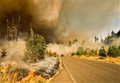 Children Born Today Face Drastically Higher Risk of Climate Extremes, Study Warns