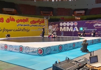 بوشهر،استان،تيم،مسابقات،رزمي،هيئت،ورزشكاران