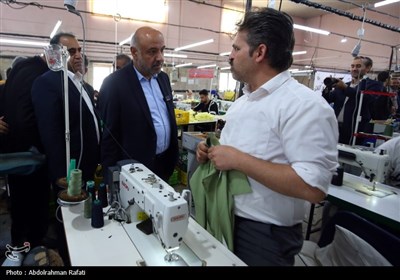 سفر وزیرتعاون،کار و رفاه اجتماعی به همدان