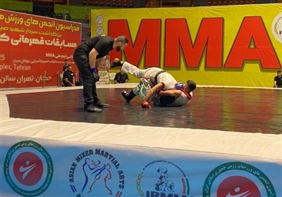 تيم،استان،رزمي،ملي،بوشهر،ورزشكاران،اردوي،كسب،مسابقات