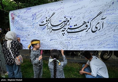 اجتماع بزرگ امام‌رضایی‌ها در تهران