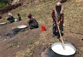 برگزاری دومین جشنواره گردشگری «شکرانه شیر» در تربت حیدریه