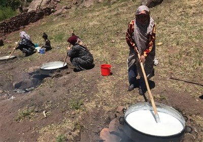 گردشگري،روستا،حيدريه،تربت،مراسم،برگزاري