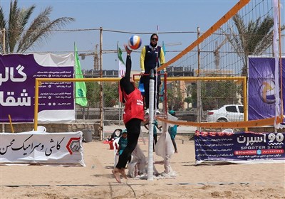 تيم،قشم،ملي،ساحلي،رزان،قشمي