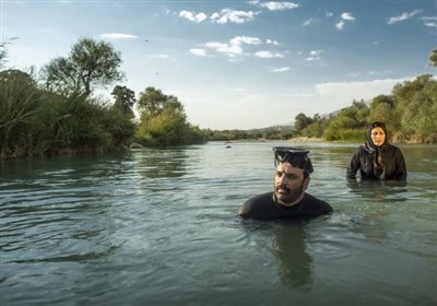 فيلم،1403،فارس،اكران،بسيج،آبان،هنرمندان