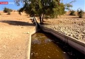 تقریر/ تسنیم.. ماء العوجا؛ نبع فلسطینی جفّ تحت مضخات الاحتلال