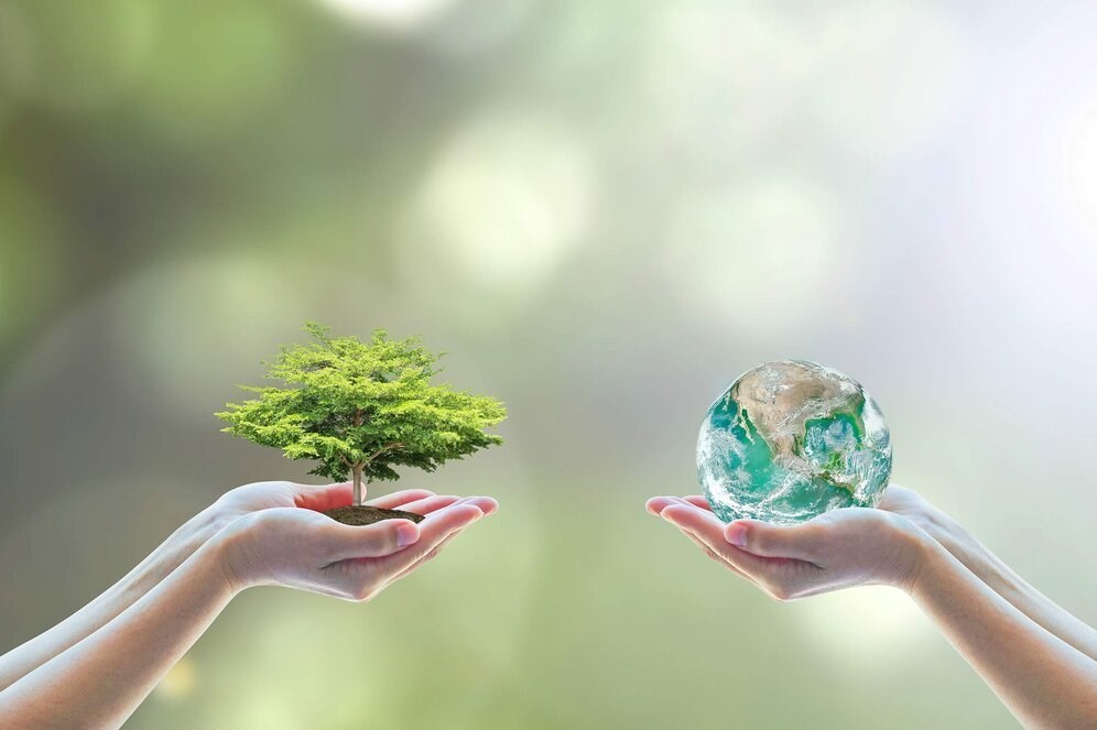 وزارت آب و محیط زیست؛ تضعیف سازمان یا ارتفای حفاظت؟