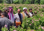 ثبت جشنواره گل محمدی فرخد در تقویم رویدادهای گردشگری