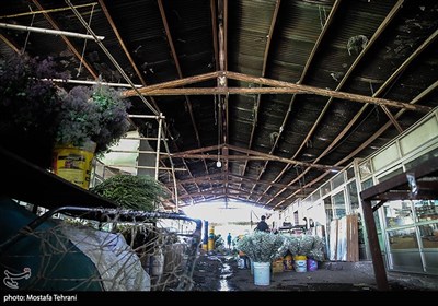 پایش میدانی ساختمان های ناایمن شهر تهران