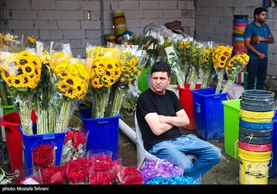 پایش میدانی ساختمان های ناایمن شهر تهران