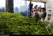 پایش میدانی ساختمان های ناایمن شهر تهران