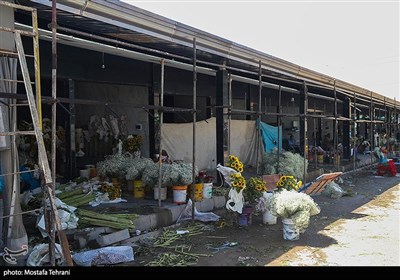 پایش میدانی ساختمان های ناایمن شهر تهران