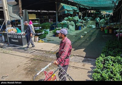 پایش میدانی ساختمان های ناایمن شهر تهران