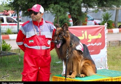 نجات،عملياتي،تخصصي،امداد،برگزاري،المپياد،كشور،ارتقاء،آمادگي، ...