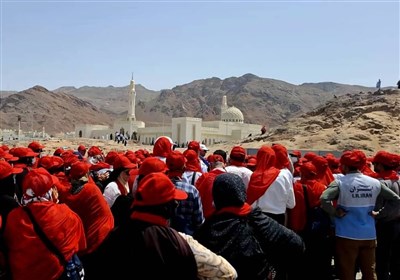مسجد،زائران،كاروان،اتوبوس،كوه،احد،مدينه،نماز،قبا،مدير،ساعت،ز ...