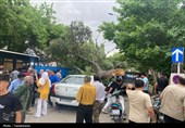 خسارت تندباد 80 کیلومتری در بجنورد+تصاویر