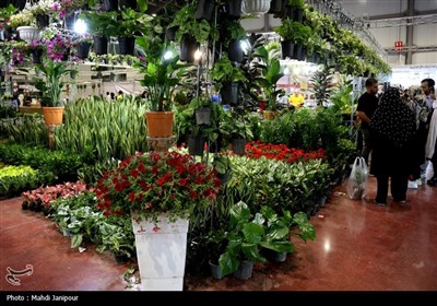 یازدهمین نمایشگاه گل و گیاه, سوغات و صنایع دستی اقوام در اصفهان