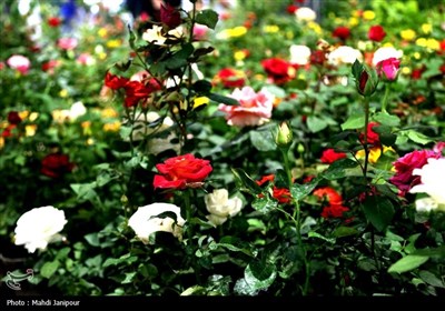 یازدهمین نمایشگاه گل و گیاه, سوغات و صنایع دستی اقوام در اصفهان