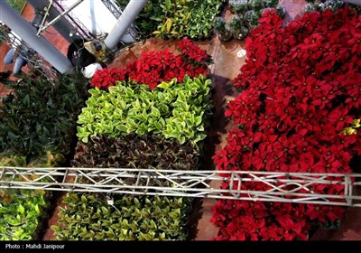 یازدهمین نمایشگاه گل و گیاه, سوغات و صنایع دستی اقوام در اصفهان