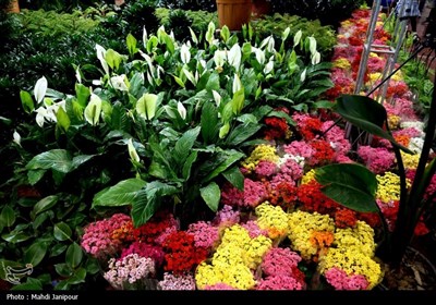 یازدهمین نمایشگاه گل و گیاه, سوغات و صنایع دستی اقوام در اصفهان