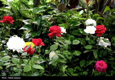 یازدهمین نمایشگاه گل و گیاه, سوغات و صنایع دستی اقوام در اصفهان