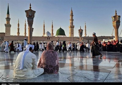 قيامت،زيارت،پيامبر،مقام،پيغمبر،خدا،دنيا،انسان
