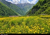 دشت دریاسر؛ بهشت گمشدهای که ای کاش پیدا نمیشد!
