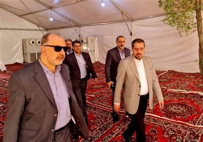 زائران،حج،حضور،روز،سازمان