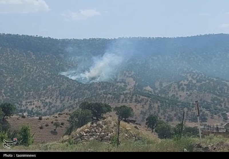 آتش سوزی جنگل ها و مراتع , 