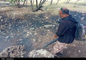 آتشسوزی جنگلهای گورو باشت مهار شد