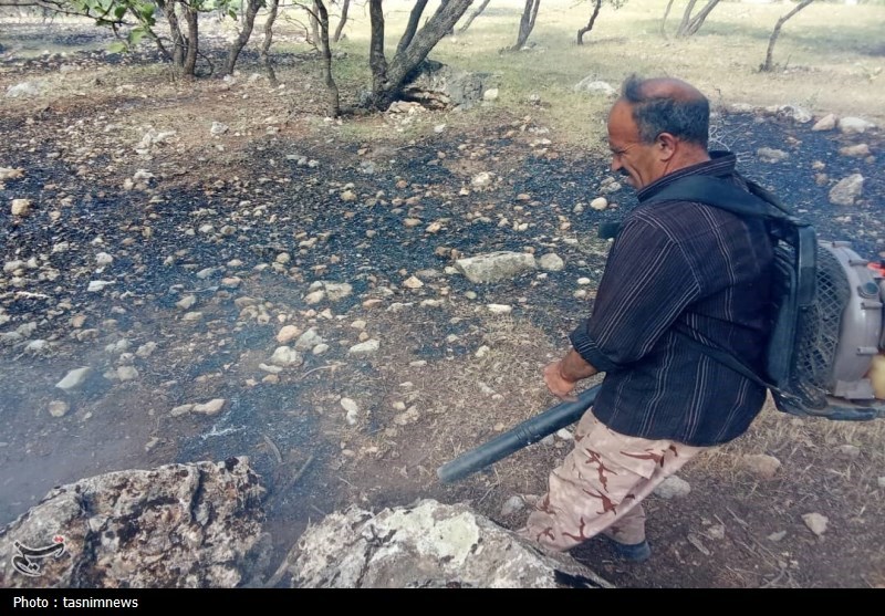 آتش سوزی جنگل ها و مراتع , 